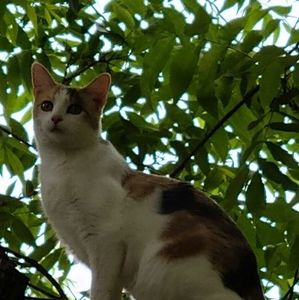 Meet your Posher, Faye